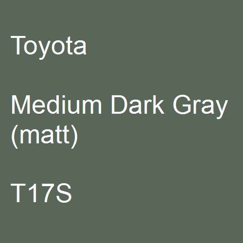 Toyota, Medium Dark Gray (matt), T17S.